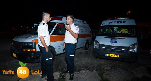 3aregmontreeh520 (38).jpg